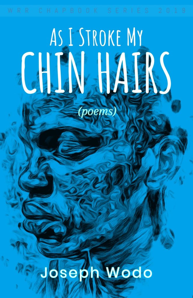 As I Stroke My Chin Hairs cover